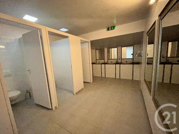 Maison à vendre  15 pièces - 484,50 m2 MAS STES PUELLES - 11