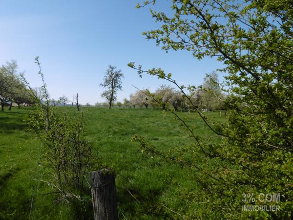 Terrain