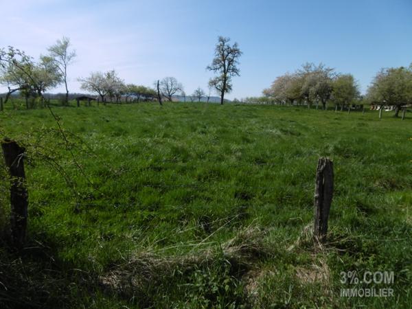 Terrain