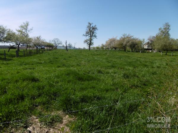 Terrain