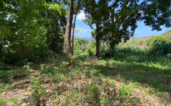 Terrain à vendre    Case-Pilote