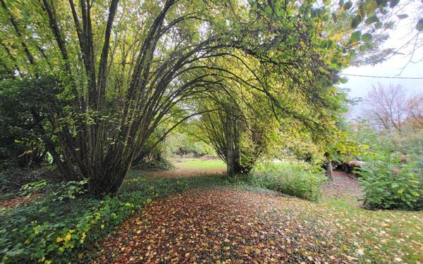 Maison à vendre    3 pièces •  Colondannes