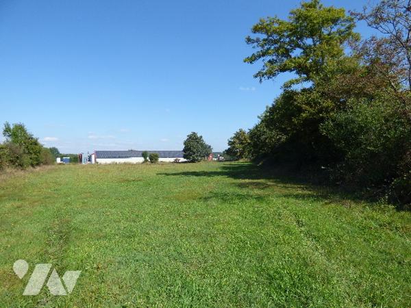 TERRAIN A BÂTIR POUR CONSTRUCTION PROFESSIONNELLE - MONCOUTANT-SUR-SEVRE