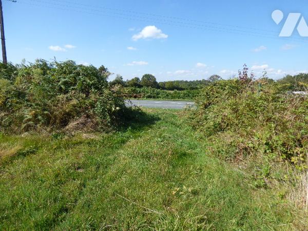 TERRAIN A BÂTIR POUR CONSTRUCTION PROFESSIONNELLE - MONCOUTANT-SUR-SEVRE
