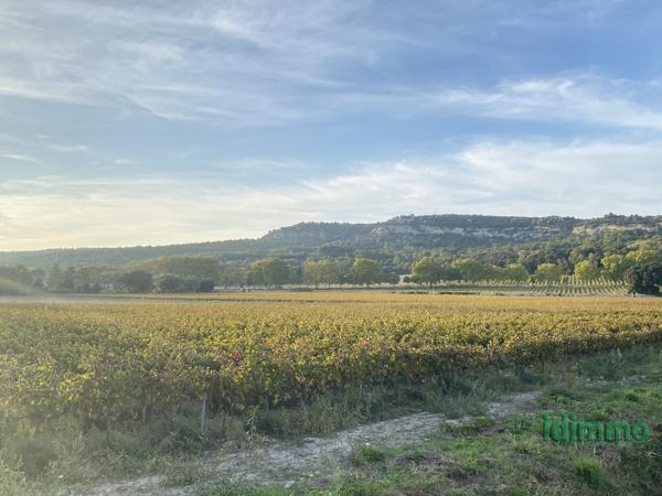 Château aux portes de la Drôme Bollène (84500)