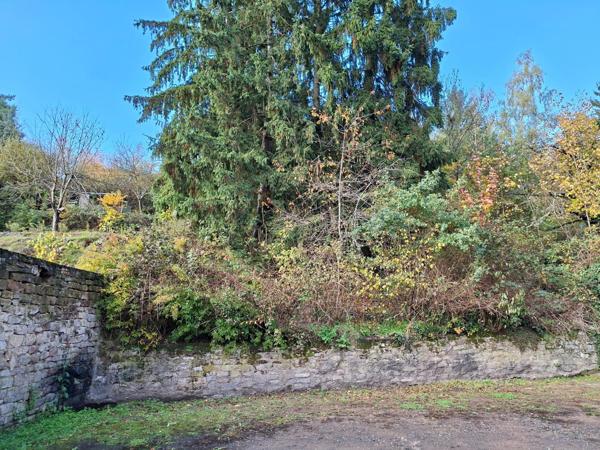 En lisière de Foret et à deux pas du centre ville!!!