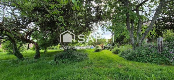 Charmante maison creusoise avec plusieurs dépendances et grand jardin arboré.