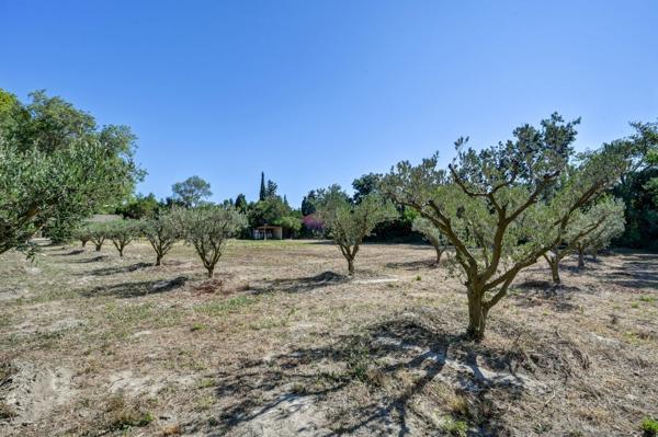 Vente Mas Saint-Rémy-de-Provence 2 Pièces 248 m²