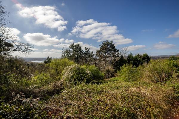 Magnifique maison Cergy vue sur les étangs