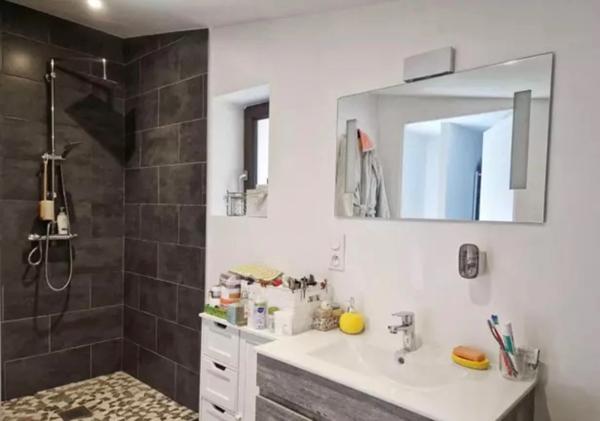 A 5mn d’ ALBERTVILLE (73) - Bâtisse de 439m2 + Annexes.