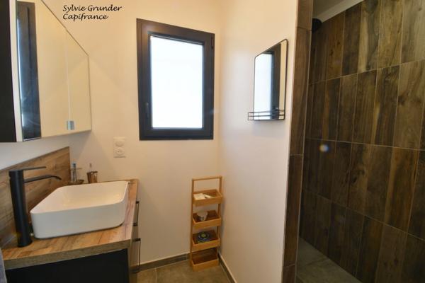 Maison contemporiane 6 pièces Piscine vue étang de l'olivier