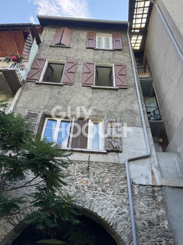 Immeuble Albertville 301 m2