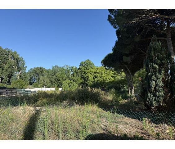 Terrain - ROYAN
