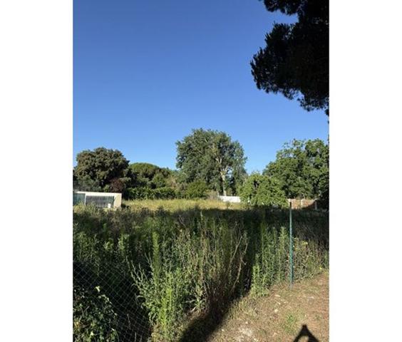 Terrain - ROYAN