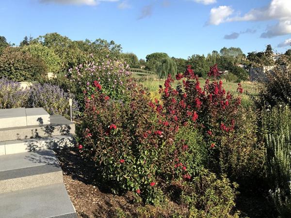 Maison d'architecte Saint Didier Au Mont D Or 7 pièce(s) 250 m2