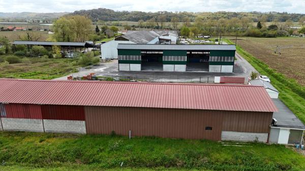 Local d'activité 450 m2