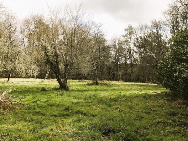 Propriété de 2 maisons, au coeur de 40 Ha de forêts et prairies