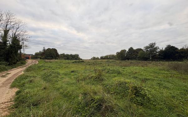 Terrain à vendre    Beaugency