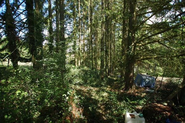 Terrain de loisirs Saint Germain Des Pres