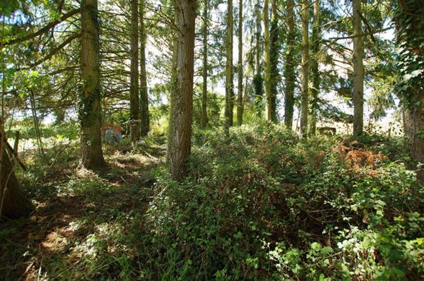 Terrain de loisirs Saint Germain Des Pres