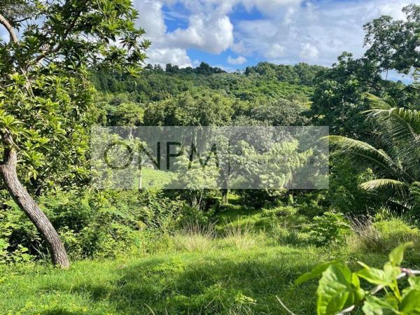 Terrain à Batir à vendre à Ducos en Martinique (97224), ref : 97207-682