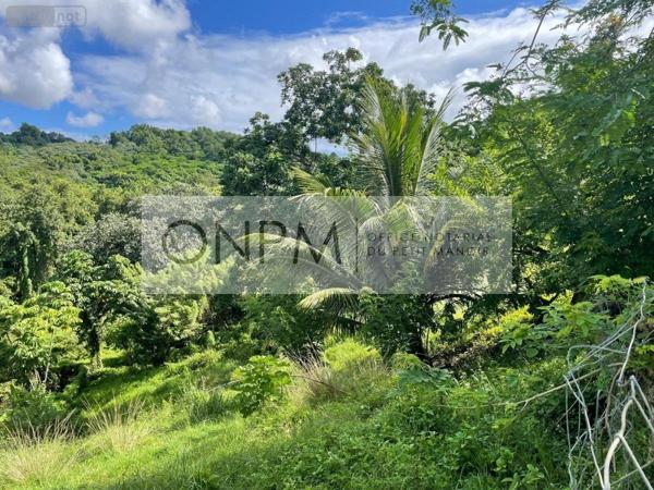 Terrain à Batir à vendre à Ducos en Martinique (97224), ref : 97207-682
