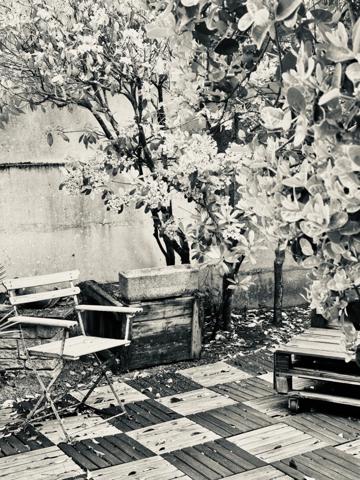 ANDERNOS-CENTRE – RARE OPPORTUNITÉ : DEUX MAISONS AU CŒUR DE TOUT