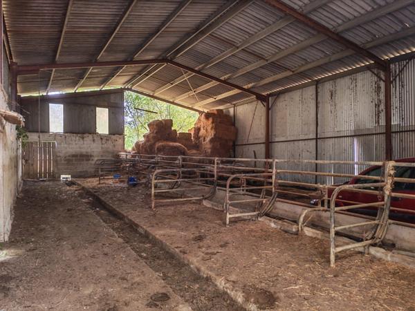 Ancien hameau de caractère sur 1,4 hectare – Un véritable havre de paix en pleine nature