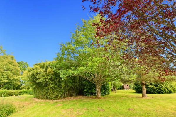 Maison sur sous-sol de 156 m2avec terrain de 4283 m2 à  ANTULLY (71)