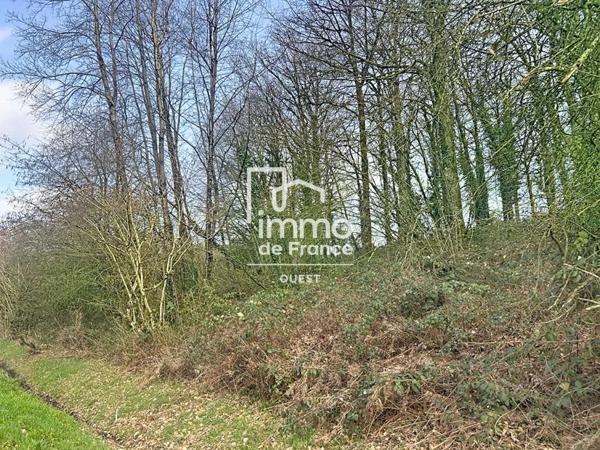 Terrain à vendre à Vimartin-sur-Orthe (53160)