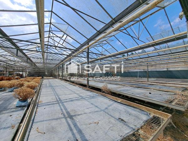 Maison 85 m² à La Gorgue, 2 Ch, Dépendances