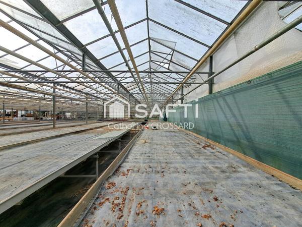 Maison 85 m² à La Gorgue, 2 Ch, Dépendances