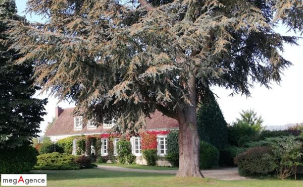 Maison à BRETONCELLES, 61110 - 10 pièces 252m²