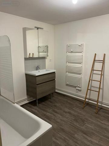 Appartement à louer à Montargis dans le Loiret (45200), ref : 45052-L272