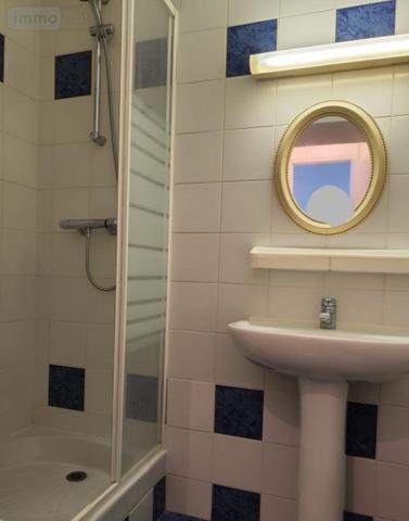 Appartement à louer à Montargis dans le Loiret (45200), ref : 45052-L272