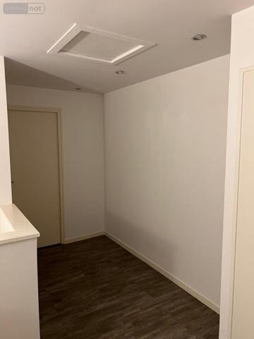 Appartement à louer à Montargis dans le Loiret (45200), ref : 45052-L272