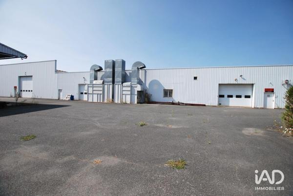 Local d’activité à vendre 3 377 m² Châtillon-sur-Loire