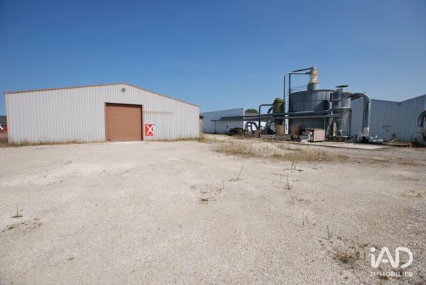 Local d’activité à vendre 3 377 m² Châtillon-sur-Loire