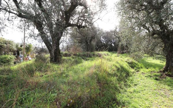 Terrain à vendre    Contes