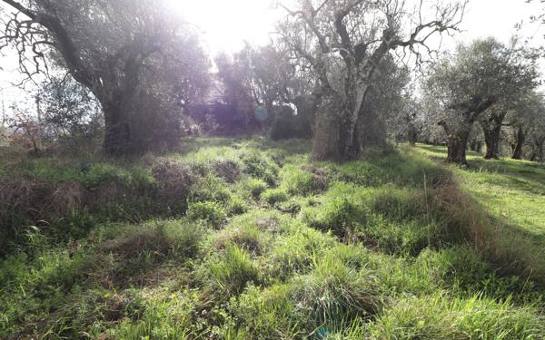 Terrain à vendre    Contes