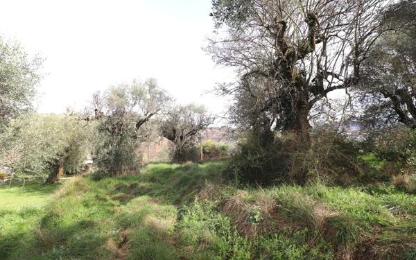 Terrain à vendre    Contes