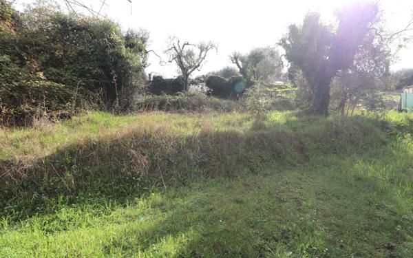 Terrain à vendre    Contes