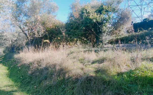 Terrain à vendre    Contes