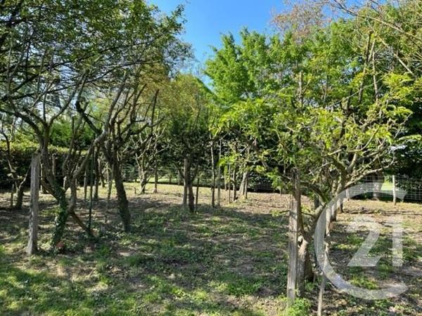 terrain à vendre 1670 m2 NAINTRE - 86