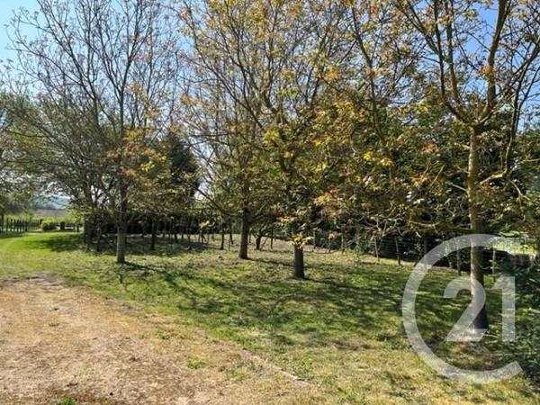 terrain à vendre 1670 m2 NAINTRE - 86