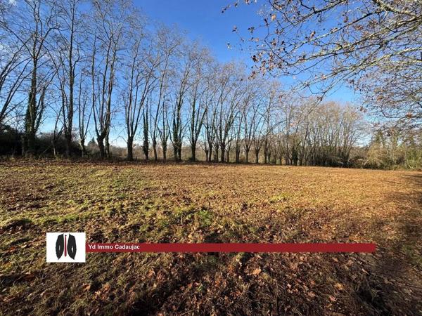 Vente immobilière : Terrain constructible à Martillac   856 m² 189 850 €- YD Immo Cadaujac.