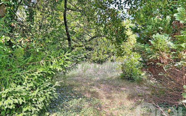 Maison à vendre    6 pièces •  La Varenne - Saint-Maur-des-Fossés