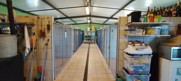 21000 DIJON 40 MINUTES - Fonds de commerce + Murs PENSION CANINE 123 M² en parfait état sur terrain 1 hectare