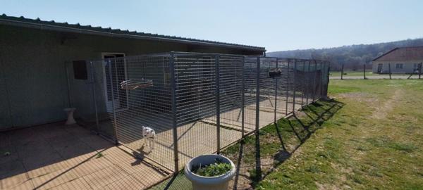 21000 DIJON 40 MINUTES - Fonds de commerce + Murs PENSION CANINE 123 M² en parfait état sur terrain 1 hectare