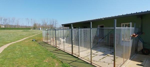 21000 DIJON 40 MINUTES - Fonds de commerce + Murs PENSION CANINE 123 M² en parfait état sur terrain 1 hectare